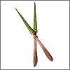 0813-Horticulture-100x100.jpg