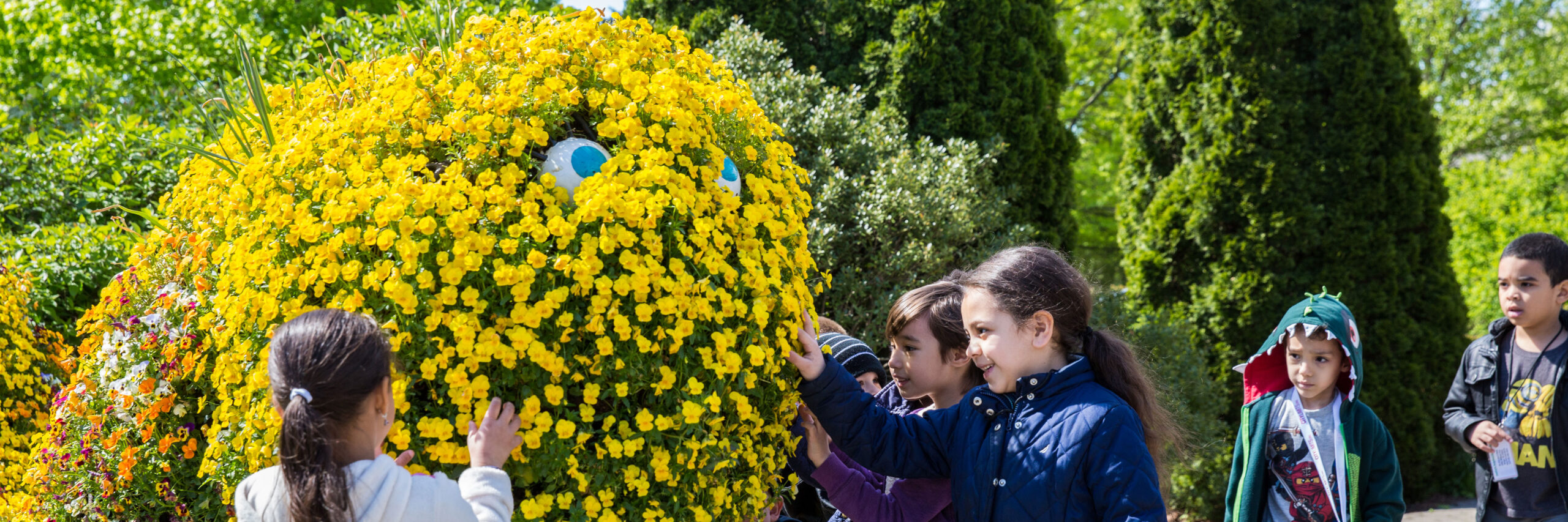 Children interacting with small yellow flowers on topiary wo