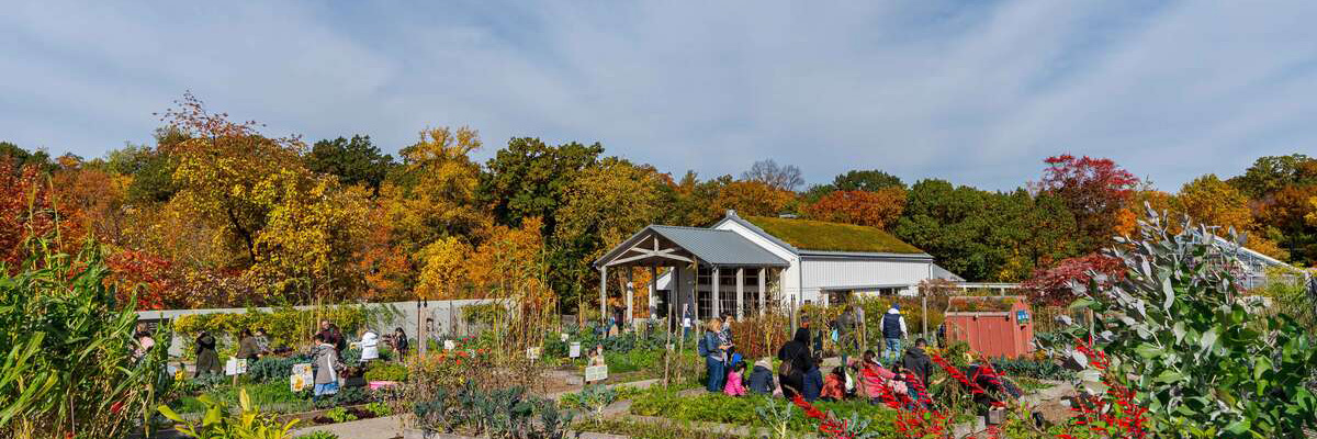 Children and adults learning about growing plants in fall
