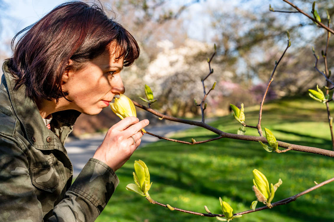 An adult ed student smelling a magnolia tree